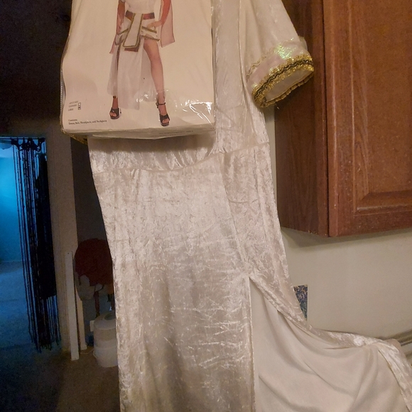 Costume - Picture 2 of 2